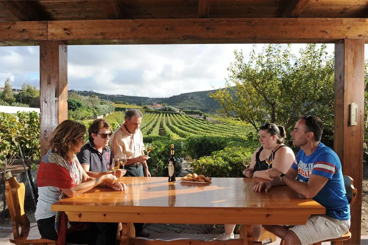 Appartamento Casa nel vigneto con vista mare Magomadas Italia